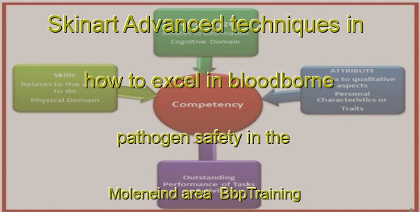 Skinart Advanced techniques in how to excel in bloodborne pathogen safety in the Moleneind area | BbpTraining | BbpClasses | SkinartTraining-Netherlands