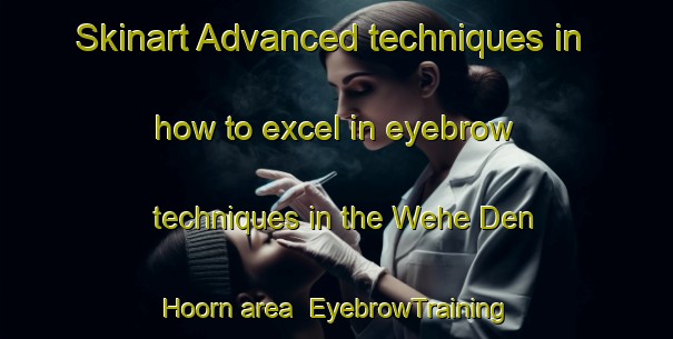 Skinart Advanced techniques in how to excel in eyebrow techniques in the Wehe Den Hoorn area | EyebrowTraining | EyebrowClasses | SkinartTraining-Netherlands