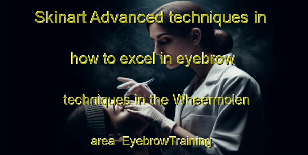 Skinart Advanced techniques in how to excel in eyebrow techniques in the Wheermolen area | EyebrowTraining | EyebrowClasses | SkinartTraining-Netherlands