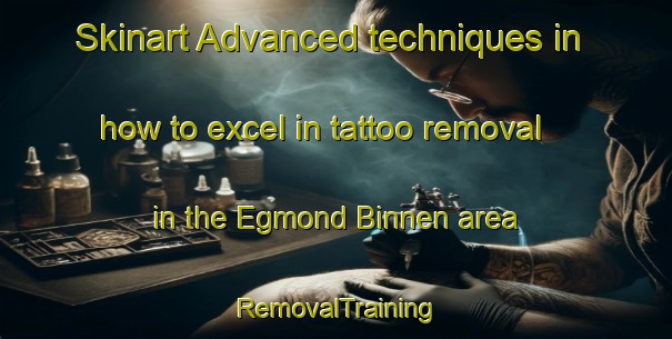 Skinart Advanced techniques in how to excel in tattoo removal in the Egmond Binnen area | RemovalTraining | RemovalClasses | SkinartTraining-Netherlands