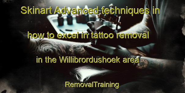 Skinart Advanced techniques in how to excel in tattoo removal in the Willibrordushoek area | RemovalTraining | RemovalClasses | SkinartTraining-Netherlands
