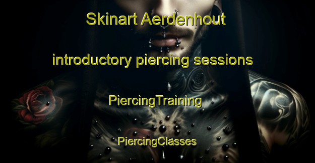 Skinart Aerdenhout introductory piercing sessions | #PiercingTraining #PiercingClasses #SkinartTraining-Netherlands