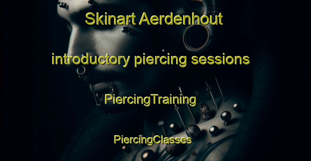 Skinart Aerdenhout introductory piercing sessions | PiercingTraining | PiercingClasses | SkinartTraining-Netherlands
