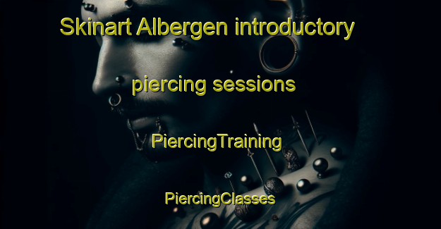 Skinart Albergen introductory piercing sessions | #PiercingTraining #PiercingClasses #SkinartTraining-Netherlands