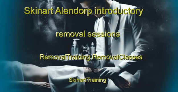 Skinart Alendorp introductory removal sessions | #RemovalTraining #RemovalClasses #SkinartTraining-Netherlands