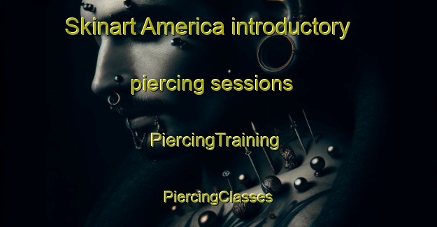 Skinart America introductory piercing sessions | #PiercingTraining #PiercingClasses #SkinartTraining-Netherlands