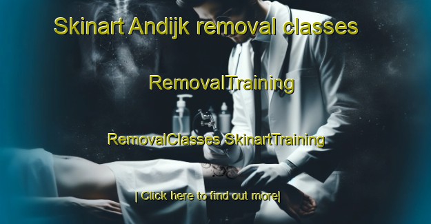 Skinart Andijk removal classes | #RemovalTraining #RemovalClasses #SkinartTraining-Netherlands