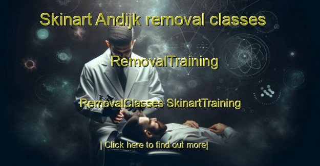 Skinart Andijk removal classes | #RemovalTraining #RemovalClasses #SkinartTraining-Netherlands