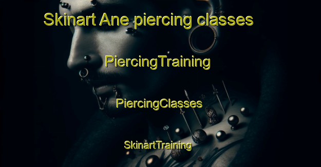 Skinart Ane piercing classes | #PiercingTraining #PiercingClasses #SkinartTraining-Netherlands