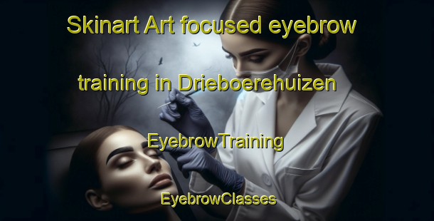 Skinart Art-focused eyebrow training in Drieboerehuizen | EyebrowTraining | EyebrowClasses | SkinartTraining-Netherlands