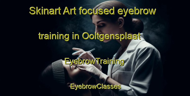 Skinart Art-focused eyebrow training in Ooltgensplaat | EyebrowTraining | EyebrowClasses | SkinartTraining-Netherlands