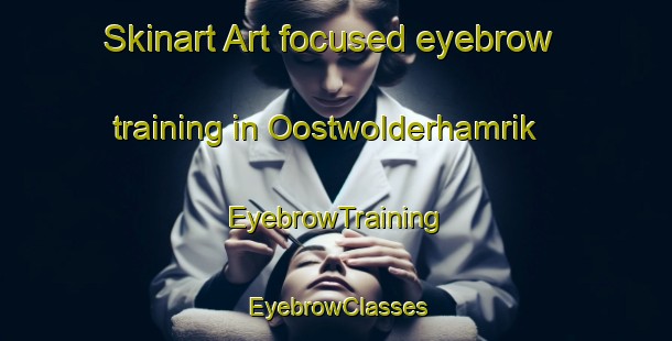 Skinart Art-focused eyebrow training in Oostwolderhamrik | EyebrowTraining | EyebrowClasses | SkinartTraining-Netherlands