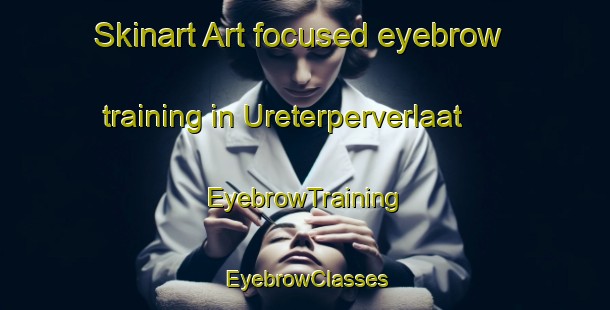 Skinart Art-focused eyebrow training in Ureterperverlaat | EyebrowTraining | EyebrowClasses | SkinartTraining-Netherlands