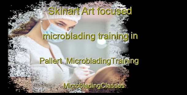 Skinart Art-focused microblading training in Pallert | #MicrobladingTraining #MicrobladingClasses #SkinartTraining-Netherlands