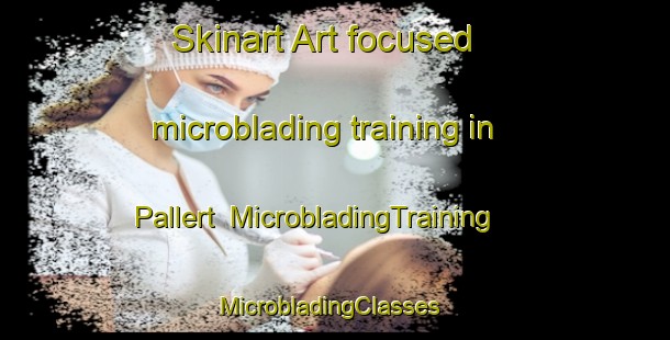 Skinart Art-focused microblading training in Pallert | MicrobladingTraining | MicrobladingClasses | SkinartTraining-Netherlands