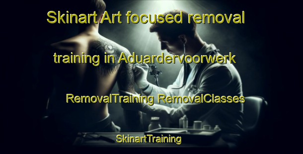 Skinart Art-focused removal training in Aduardervoorwerk | #RemovalTraining #RemovalClasses #SkinartTraining-Netherlands