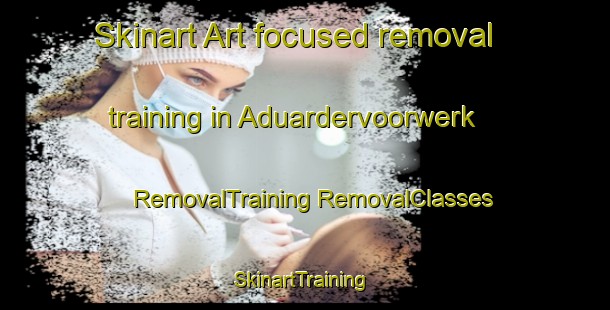 Skinart Art-focused removal training in Aduardervoorwerk | #RemovalTraining #RemovalClasses #SkinartTraining-Netherlands