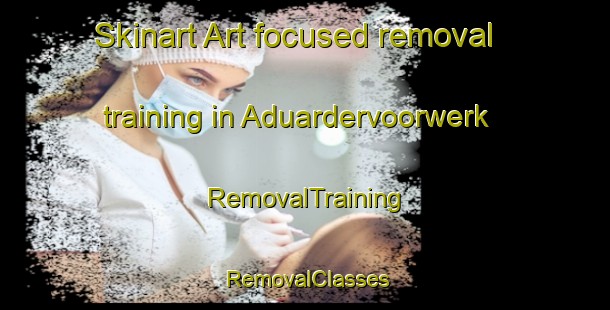 Skinart Art-focused removal training in Aduardervoorwerk | RemovalTraining | RemovalClasses | SkinartTraining-Netherlands