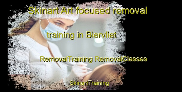 Skinart Art-focused removal training in Biervliet | #RemovalTraining #RemovalClasses #SkinartTraining-Netherlands