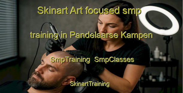 Skinart Art-focused smp training in Pandelaarse Kampen | SmpTraining | SmpClasses | SkinartTraining-Netherlands