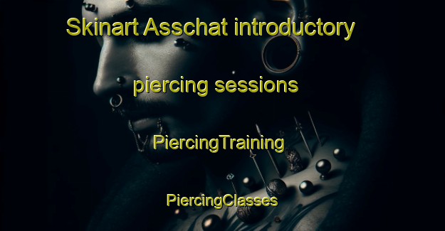 Skinart Asschat introductory piercing sessions | #PiercingTraining #PiercingClasses #SkinartTraining-Netherlands