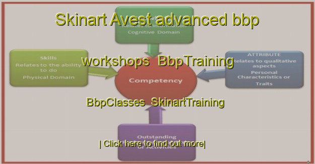 Skinart Avest advanced bbp workshops | BbpTraining | BbpClasses | SkinartTraining-Netherlands
