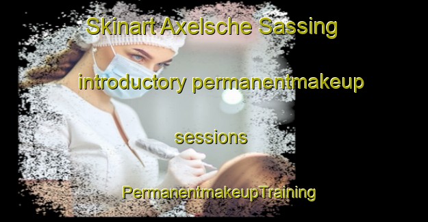Skinart Axelsche Sassing introductory permanentmakeup sessions | PermanentmakeupTraining | PermanentmakeupClasses | SkinartTraining-Netherlands