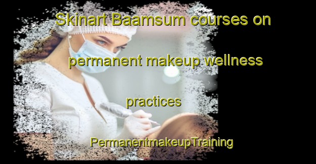 Skinart Baamsum courses on permanent makeup wellness practices | PermanentmakeupTraining | PermanentmakeupClasses | SkinartTraining-Netherlands
