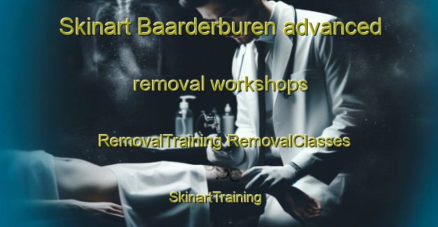 Skinart Baarderburen advanced removal workshops | #RemovalTraining #RemovalClasses #SkinartTraining-Netherlands