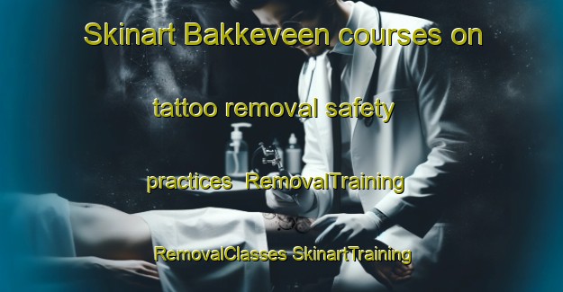 Skinart Bakkeveen courses on tattoo removal safety practices | #RemovalTraining #RemovalClasses #SkinartTraining-Netherlands