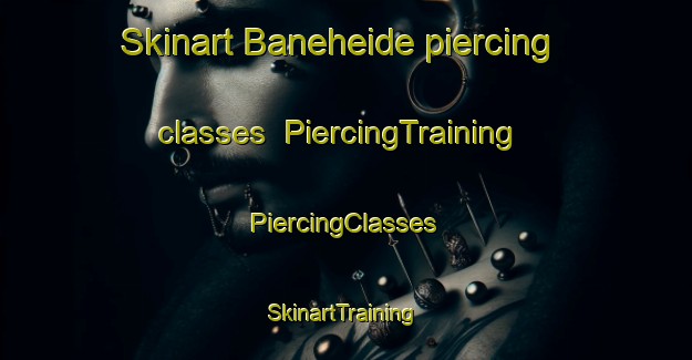 Skinart Baneheide piercing classes | #PiercingTraining #PiercingClasses #SkinartTraining-Netherlands