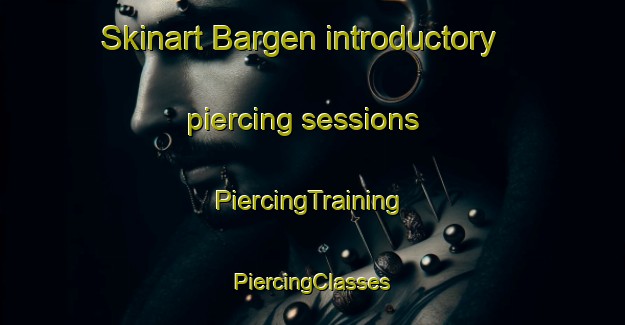 Skinart Bargen introductory piercing sessions | #PiercingTraining #PiercingClasses #SkinartTraining-Netherlands