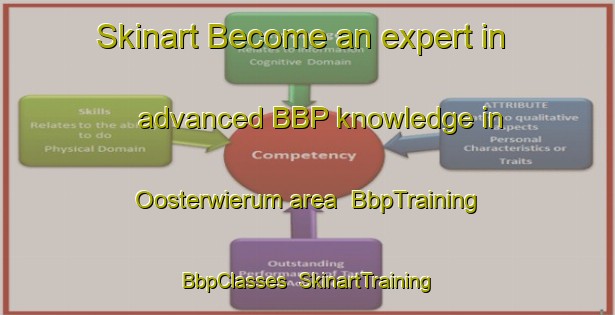 Skinart Become an expert in advanced BBP knowledge in Oosterwierum area | BbpTraining | BbpClasses | SkinartTraining-Netherlands