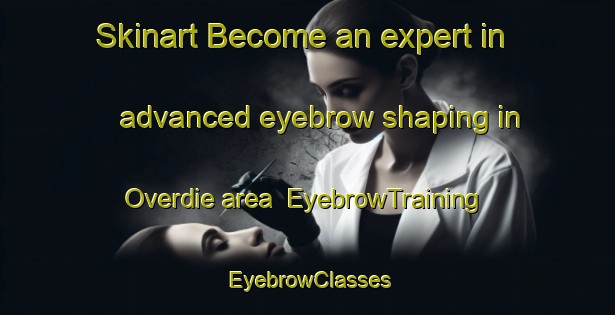 Skinart Become an expert in advanced eyebrow shaping in Overdie area | EyebrowTraining | EyebrowClasses | SkinartTraining-Netherlands