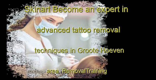 Skinart Become an expert in advanced tattoo removal techniques in Groote Hoeven area | RemovalTraining | RemovalClasses | SkinartTraining-Netherlands