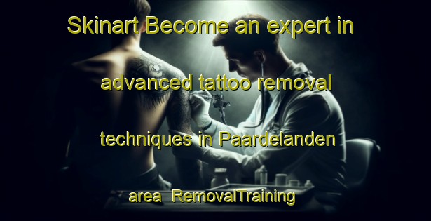 Skinart Become an expert in advanced tattoo removal techniques in Paardelanden area | RemovalTraining | RemovalClasses | SkinartTraining-Netherlands