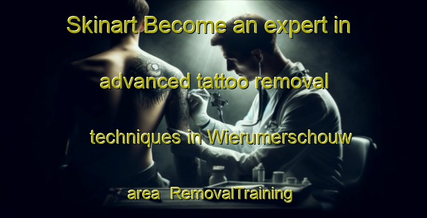 Skinart Become an expert in advanced tattoo removal techniques in Wierumerschouw area | RemovalTraining | RemovalClasses | SkinartTraining-Netherlands