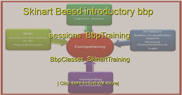 Skinart Beesd introductory bbp sessions | BbpTraining | BbpClasses | SkinartTraining-Netherlands