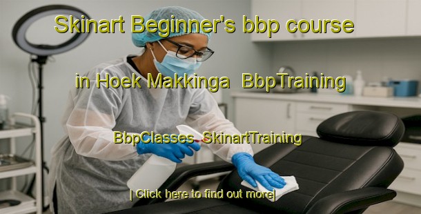 Skinart Beginner's bbp course in Hoek Makkinga | BbpTraining | BbpClasses | SkinartTraining-Netherlands