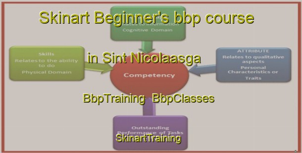 Skinart Beginner's bbp course in Sint Nicolaasga | BbpTraining | BbpClasses | SkinartTraining-Netherlands
