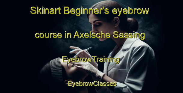Skinart Beginner's eyebrow course in Axelsche Sassing | EyebrowTraining | EyebrowClasses | SkinartTraining-Netherlands