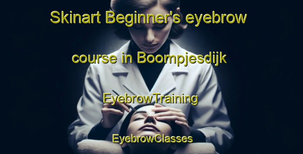 Skinart Beginner's eyebrow course in Boompjesdijk | EyebrowTraining | EyebrowClasses | SkinartTraining-Netherlands