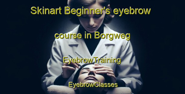 Skinart Beginner's eyebrow course in Borgweg | EyebrowTraining | EyebrowClasses | SkinartTraining-Netherlands