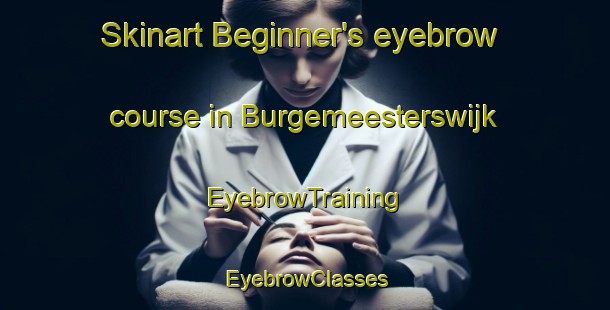 Skinart Beginner's eyebrow course in Burgemeesterswijk | EyebrowTraining | EyebrowClasses | SkinartTraining-Netherlands