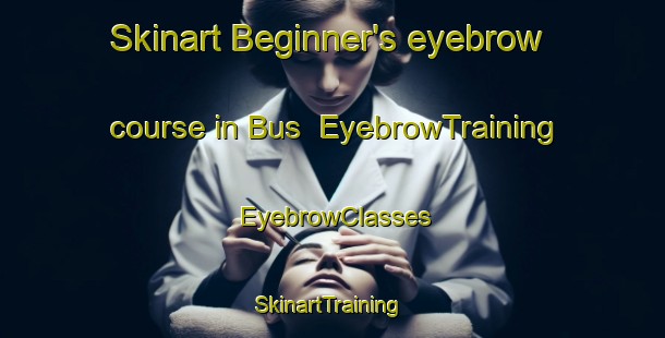 Skinart Beginner's eyebrow course in Bus | EyebrowTraining | EyebrowClasses | SkinartTraining-Netherlands