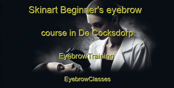 Skinart Beginner's eyebrow course in De Cocksdorp | EyebrowTraining | EyebrowClasses | SkinartTraining-Netherlands
