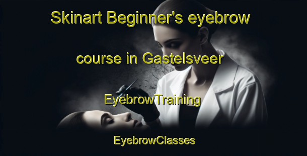 Skinart Beginner's eyebrow course in Gastelsveer | EyebrowTraining | EyebrowClasses | SkinartTraining-Netherlands