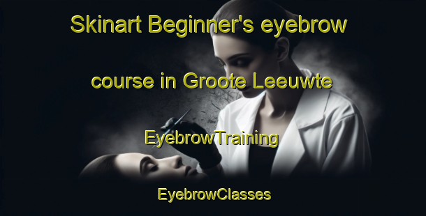 Skinart Beginner's eyebrow course in Groote Leeuwte | EyebrowTraining | EyebrowClasses | SkinartTraining-Netherlands