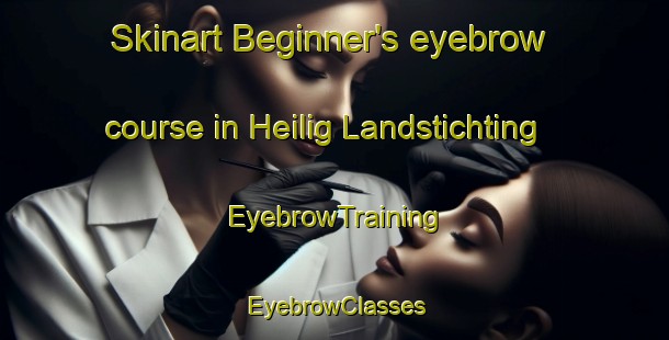 Skinart Beginner's eyebrow course in Heilig Landstichting | EyebrowTraining | EyebrowClasses | SkinartTraining-Netherlands