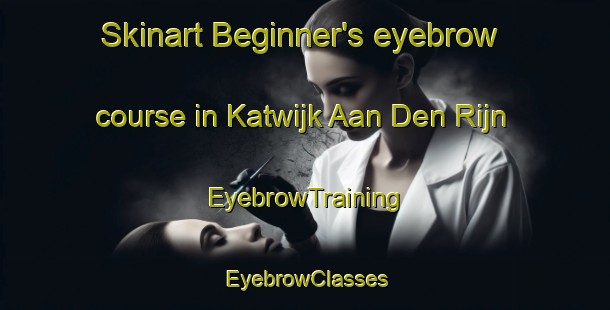 Skinart Beginner's eyebrow course in Katwijk Aan Den Rijn | EyebrowTraining | EyebrowClasses | SkinartTraining-Netherlands